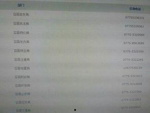 广西最新爆料新闻网站,聚焦热点事件,揭秘幕后真相